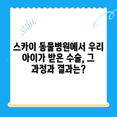 인천 계양동 스카이 동물병원 수술 후기| 🐶🐱 우리 아이의 건강한 회복 이야기 | 동물병원 추천, 수술 경험, 만족도