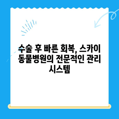 인천 계양동 스카이 동물병원 수술 후기| 🐶🐱 우리 아이의 건강한 회복 이야기 | 동물병원 추천, 수술 경험, 만족도