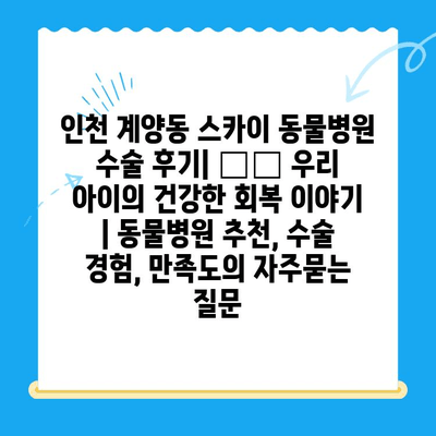 인천 계양동 스카이 동물병원 수술 후기| 🐶🐱 우리 아이의 건강한 회복 이야기 | 동물병원 추천, 수술 경험, 만족도