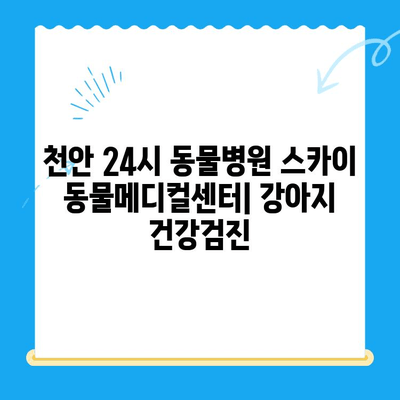 천안 강아지 건강검진, 24시 동물병원 추천| 스카이 동물메디컬센터 비용 정보 | 천안 동물병원, 강아지 건강검진 비용, 24시 동물병원