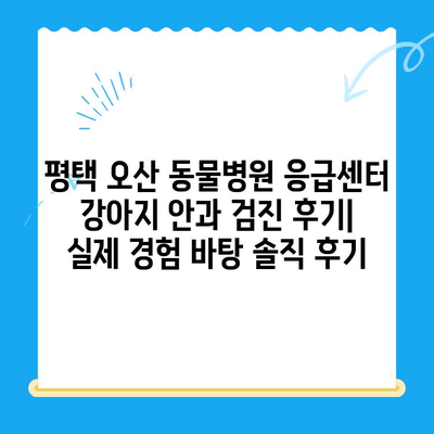 평택 오산 동물병원 응급센터 강아지 안과 검진 후기| 실제 경험 바탕으로 솔직하게 알려드립니다 | 강아지 안과, 응급센터, 동물병원 추천, 진료 후기