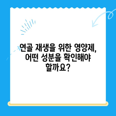 무릎 통증 완화를 위한 관절 연골 영양제 선택 가이드 | 무릎 통증, 연골 재생, 영양제 추천, 관절 건강