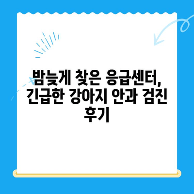 평택 오산 동물병원 응급센터 강아지 안과 검진 후기| 실제 경험 바탕으로 솔직하게 알려드립니다 | 강아지 안과, 응급센터, 동물병원 추천, 진료 후기