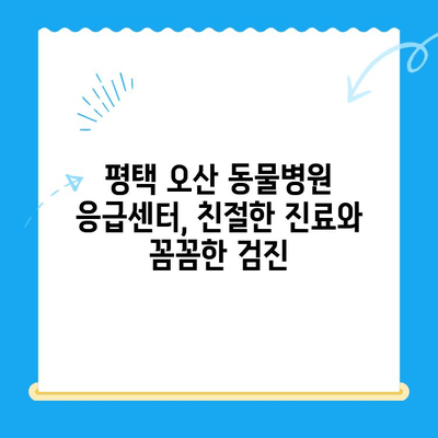 평택 오산 동물병원 응급센터 강아지 안과 검진 후기| 실제 경험 바탕으로 솔직하게 알려드립니다 | 강아지 안과, 응급센터, 동물병원 추천, 진료 후기