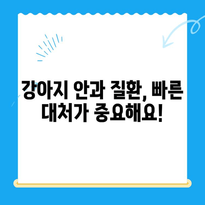 평택 오산 동물병원 응급센터 강아지 안과 검진 후기| 실제 경험 바탕으로 솔직하게 알려드립니다 | 강아지 안과, 응급센터, 동물병원 추천, 진료 후기