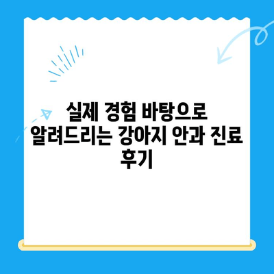 평택 오산 동물병원 응급센터 강아지 안과 검진 후기| 실제 경험 바탕으로 솔직하게 알려드립니다 | 강아지 안과, 응급센터, 동물병원 추천, 진료 후기