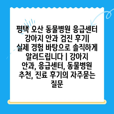 평택 오산 동물병원 응급센터 강아지 안과 검진 후기| 실제 경험 바탕으로 솔직하게 알려드립니다 | 강아지 안과, 응급센터, 동물병원 추천, 진료 후기