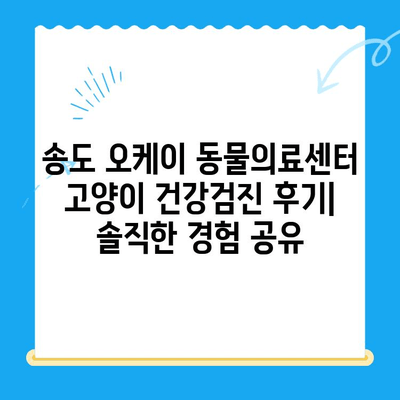 송도 오케이 동물의료센터 고양이 건강검진 후기| 솔직한 경험 공유 | 송도, 동물병원, 고양이, 건강검진, 후기