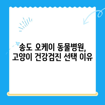 송도 오케이 동물의료센터 고양이 건강검진 후기| 솔직한 경험 공유 | 송도, 동물병원, 고양이, 건강검진, 후기