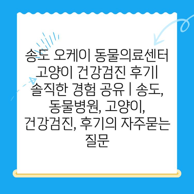 송도 오케이 동물의료센터 고양이 건강검진 후기| 솔직한 경험 공유 | 송도, 동물병원, 고양이, 건강검진, 후기