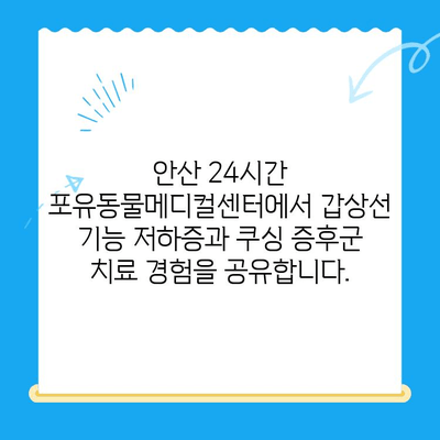 안산 24시간 포유동물메디컬센터| 갑상선 기능 저하증/쿠싱증후군 치료 경험 공유 | 반려동물 건강, 안산 동물병원, 갑상선 질환, 쿠싱 증후군