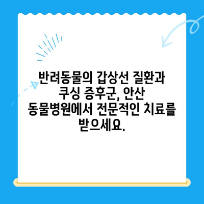 안산 24시간 포유동물메디컬센터| 갑상선 기능 저하증/쿠싱증후군 치료 경험 공유 | 반려동물 건강, 안산 동물병원, 갑상선 질환, 쿠싱 증후군