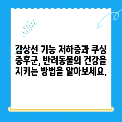 안산 24시간 포유동물메디컬센터| 갑상선 기능 저하증/쿠싱증후군 치료 경험 공유 | 반려동물 건강, 안산 동물병원, 갑상선 질환, 쿠싱 증후군