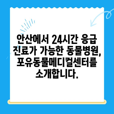 안산 24시간 포유동물메디컬센터| 갑상선 기능 저하증/쿠싱증후군 치료 경험 공유 | 반려동물 건강, 안산 동물병원, 갑상선 질환, 쿠싱 증후군