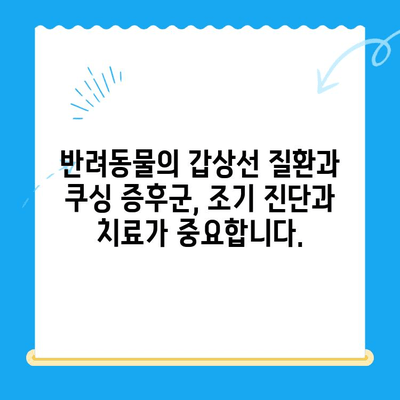 안산 24시간 포유동물메디컬센터| 갑상선 기능 저하증/쿠싱증후군 치료 경험 공유 | 반려동물 건강, 안산 동물병원, 갑상선 질환, 쿠싱 증후군