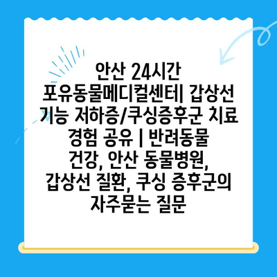 안산 24시간 포유동물메디컬센터| 갑상선 기능 저하증/쿠싱증후군 치료 경험 공유 | 반려동물 건강, 안산 동물병원, 갑상선 질환, 쿠싱 증후군