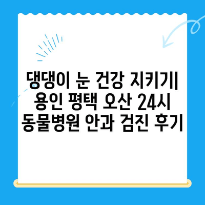 용인 평택 오산 24시 동물병원 안과 검진 후기| 댕댕이 눈 건강 지키기 | 강아지 안과, 응급센터, 체험 후기