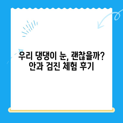 용인 평택 오산 24시 동물병원 안과 검진 후기| 댕댕이 눈 건강 지키기 | 강아지 안과, 응급센터, 체험 후기