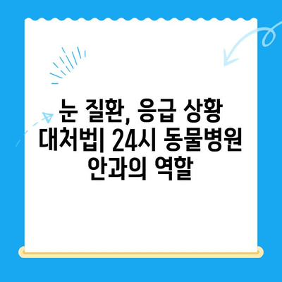 용인 평택 오산 24시 동물병원 안과 검진 후기| 댕댕이 눈 건강 지키기 | 강아지 안과, 응급센터, 체험 후기