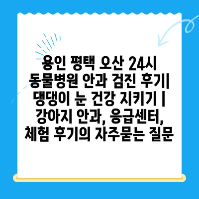 용인 평택 오산 24시 동물병원 안과 검진 후기| 댕댕이 눈 건강 지키기 | 강아지 안과, 응급센터, 체험 후기