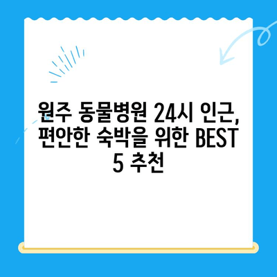 원주 동물병원 24시 인근, 숙박 고민 해결! 추천 숙소 BEST 5 | 원주, 동물병원, 숙박, 호텔, 모텔, 게스트하우스