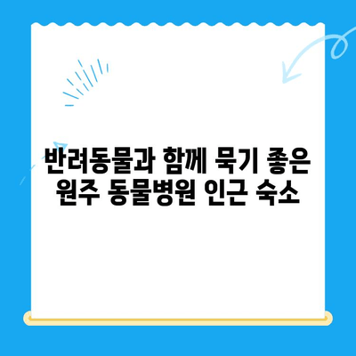 원주 동물병원 24시 인근, 숙박 고민 해결! 추천 숙소 BEST 5 | 원주, 동물병원, 숙박, 호텔, 모텔, 게스트하우스