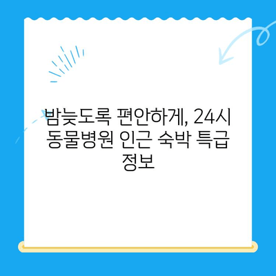 원주 동물병원 24시 인근, 숙박 고민 해결! 추천 숙소 BEST 5 | 원주, 동물병원, 숙박, 호텔, 모텔, 게스트하우스