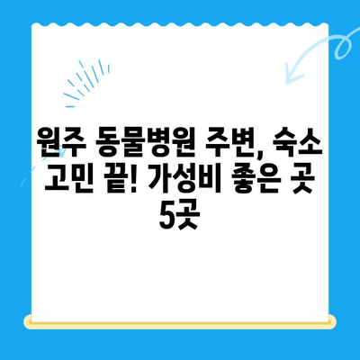 원주 동물병원 24시 인근, 숙박 고민 해결! 추천 숙소 BEST 5 | 원주, 동물병원, 숙박, 호텔, 모텔, 게스트하우스