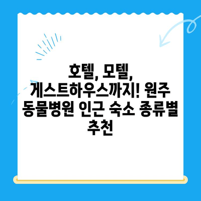 원주 동물병원 24시 인근, 숙박 고민 해결! 추천 숙소 BEST 5 | 원주, 동물병원, 숙박, 호텔, 모텔, 게스트하우스