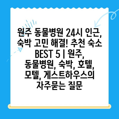 원주 동물병원 24시 인근, 숙박 고민 해결! 추천 숙소 BEST 5 | 원주, 동물병원, 숙박, 호텔, 모텔, 게스트하우스