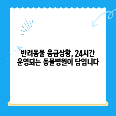 밤샘 응급 치료! 24시간 운영되는 동물병원 찾기 | 골절, 야간진료, 응급상황, 동물병원 정보