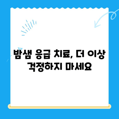 밤샘 응급 치료! 24시간 운영되는 동물병원 찾기 | 골절, 야간진료, 응급상황, 동물병원 정보