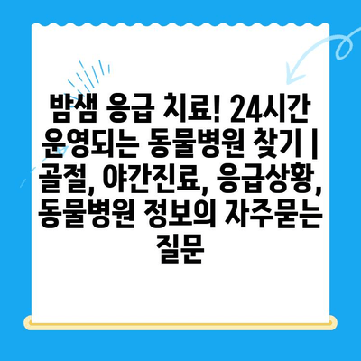 밤샘 응급 치료! 24시간 운영되는 동물병원 찾기 | 골절, 야간진료, 응급상황, 동물병원 정보