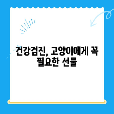 폴 동물병원 고양이 건강검진, 왜 필요할까요? | 고양이 건강, 예방, 정기검진, 폴 동물병원