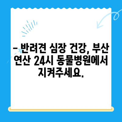 부산 연산 24시 동물병원| 반려견 심장검사, 안전하고 전문적인 진료 | 심장병, 건강검진, 24시간 응급진료