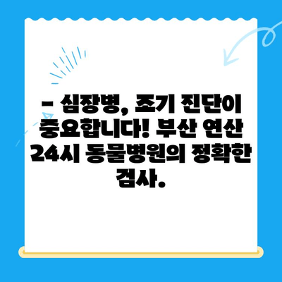 부산 연산 24시 동물병원| 반려견 심장검사, 안전하고 전문적인 진료 | 심장병, 건강검진, 24시간 응급진료