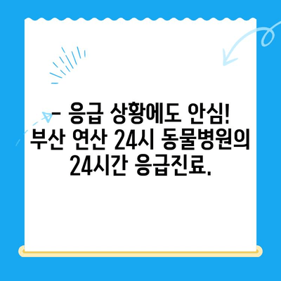 부산 연산 24시 동물병원| 반려견 심장검사, 안전하고 전문적인 진료 | 심장병, 건강검진, 24시간 응급진료