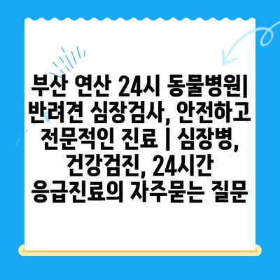 부산 연산 24시 동물병원| 반려견 심장검사, 안전하고 전문적인 진료 | 심장병, 건강검진, 24시간 응급진료