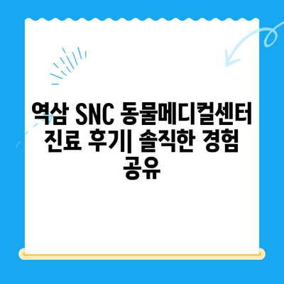 역삼 SNC 동물메디컬센터 진료 후기| 솔직한 경험 공유 | 동물병원 추천, 강남, 반려동물