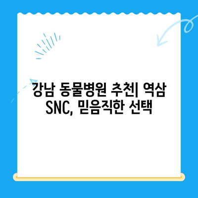 역삼 SNC 동물메디컬센터 진료 후기| 솔직한 경험 공유 | 동물병원 추천, 강남, 반려동물