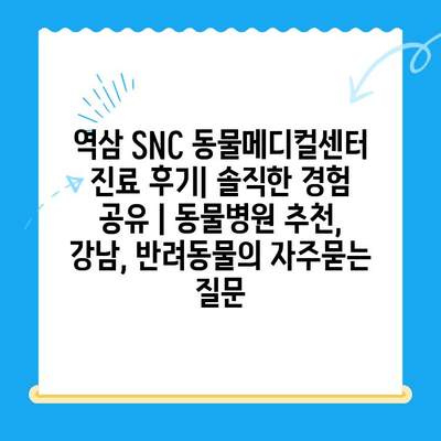 역삼 SNC 동물메디컬센터 진료 후기| 솔직한 경험 공유 | 동물병원 추천, 강남, 반려동물