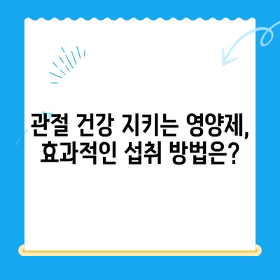 무릎 통증 완화를 위한 관절 연골 영양제 선택 가이드 | 무릎 통증, 연골 재생, 영양제 추천, 관절 건강