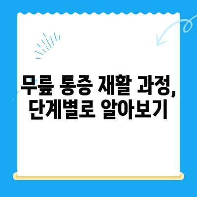 무릎 통증 재활, 언제 전문가 도움이 필요할까요? | 무릎 통증, 재활 운동, 전문의 상담, 재활 과정