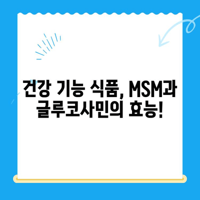 관절 건강 지키는 영양제 완벽 가이드| 연골 보호 효과 높이는 5가지 추천 | 관절염, 연골 재생, 건강 기능 식품, MSM, 글루코사민