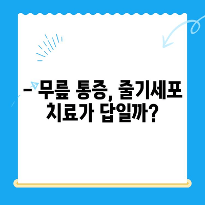 무릎 줄기세포 치료, 비용 대비 가치는? | 효과, 장단점, 비용 분석, 후기