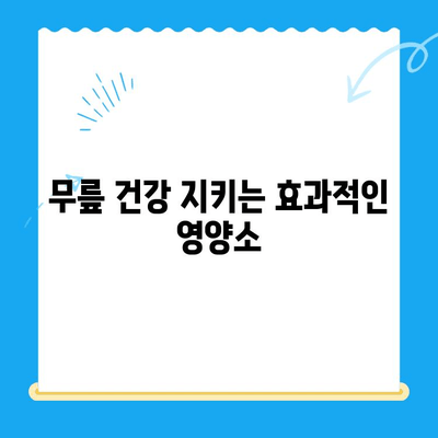 무릎 연골 영양제, 통증 관리의 지름길| 효과적인 선택 및 복용 가이드 | 무릎 통증, 연골 재생, 관절 건강, 영양제 추천