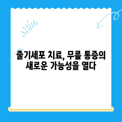 무릎 통증, 줄기세포 치료로 해결할 수 있을까요? | 무릎 통증, 줄기세포 치료, 관절 재생, 통증 완화