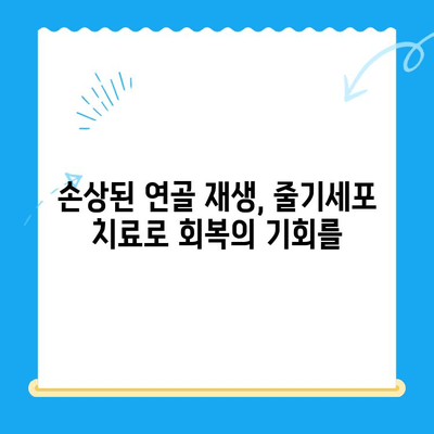무릎 통증, 줄기세포 치료로 해결할 수 있을까요? | 무릎 통증, 줄기세포 치료, 관절 재생, 통증 완화