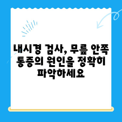 무릎 안쪽 통증| 내시경 검사로 원인을 찾고, 효과적인 관리 방법 알아보기 | 무릎 통증, 내시경, 진단, 치료, 관리