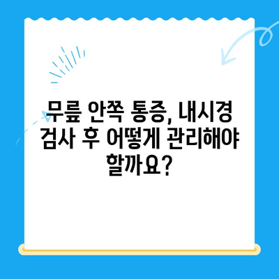 무릎 안쪽 통증| 내시경 검사로 원인을 찾고, 효과적인 관리 방법 알아보기 | 무릎 통증, 내시경, 진단, 치료, 관리